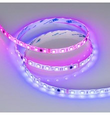 Светодиодная лента герметичная SPI-SE-B60-10mm 24V RGB-PX6-BPT (12 W/m, IP65, 5060, 5m) (Arlight, бегущий огонь)  039601  Arlight