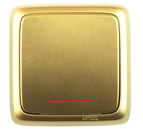 Выключатель открытой установки, одноклавишный, с индикацией, с изолирующей пластиной, цвет золото  ВА16-114-07  HEGEL