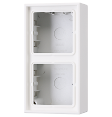 Рамка для вертикальной и горизонтальной установки, 2 поста, накладной монтаж; дюропласт; белый; LS990  LS582AWW  Jung