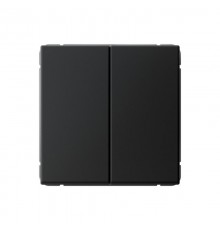 ArtGallery Карбон Переключатель 2-клавишный , 10АХ, механизм, быстрозажим. клем.  GAL001065S  SE