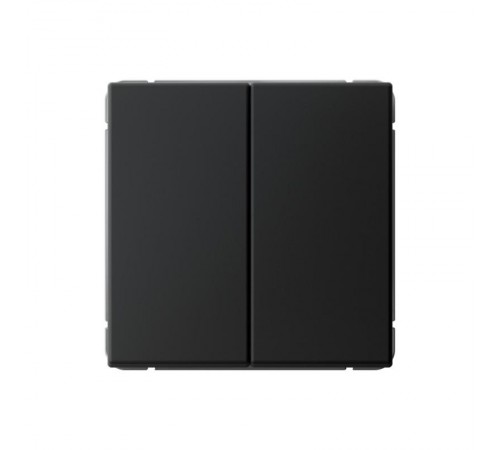 ArtGallery Карбон Переключатель 2-клавишный , 10АХ, механизм, быстрозажим. клем.  GAL001065S  SE