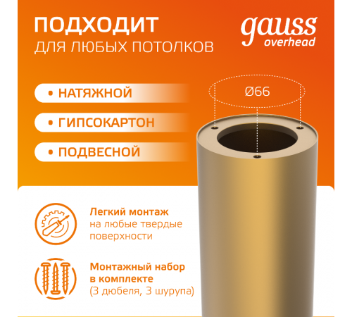 Светильник светодиодный декоративный бытовой HD002 12W (кофе золото) 3000K 79x200мм  HD002  Gauss