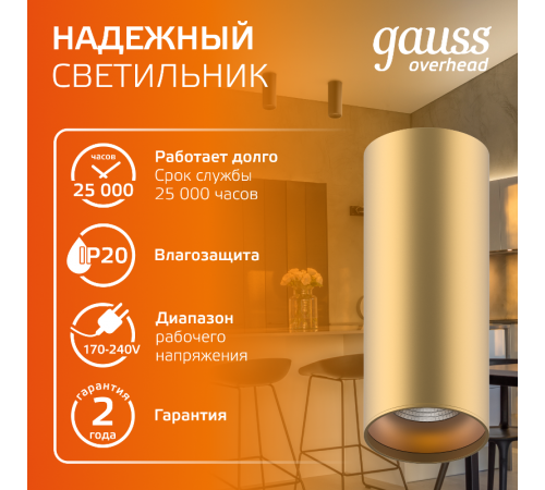 Светильник светодиодный декоративный бытовой HD002 12W (кофе золото) 3000K 79x200мм  HD002  Gauss