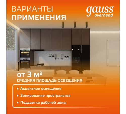 Светильник  Overhead накл цил 12W 900lm 3000K 170-240V IP20 79*100мм черный LED 1/10  HD008  Gauss