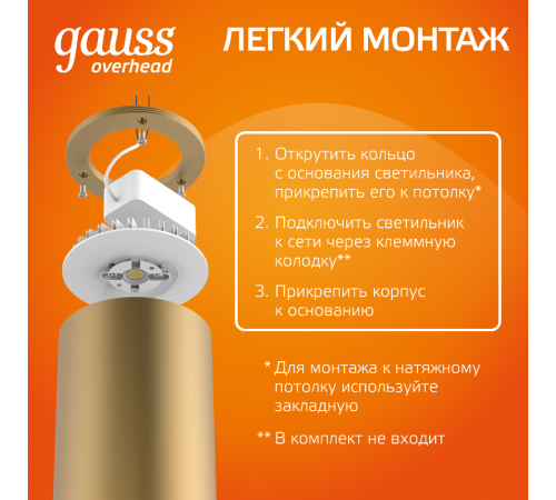 Светильник светодиодный декоративный бытовой HD002 12W (кофе золото) 3000K 79x200мм  HD002  Gauss