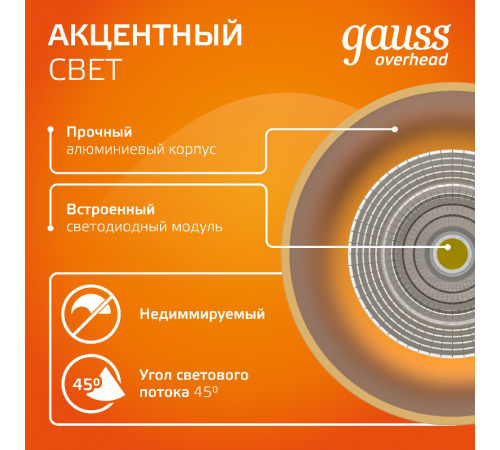 Светильник светодиодный декоративный бытовой HD002 12W (кофе золото) 3000K 79x200мм  HD002  Gauss
