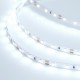 Лента светодиодная RT 2-5000 12V Cool 10K (2835, 300 LED, BAT)  023312  Arlight