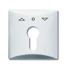 Плата центральная (накладка) с поворотной ручкой, IP44, серия Allwetter 44, цвет альпийский белый  1710-0-1829   2CKA001710A1829  ABB