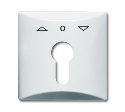 Плата центральная (накладка) с поворотной ручкой, IP44, серия Allwetter 44, цвет альпийский белый  1710-0-1829   2CKA001710A1829  ABB