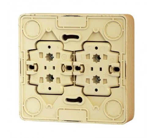 Этюд Сосна О/У Розетка Розетка 4-ая без заземления без шторок  PA16-205D  SE