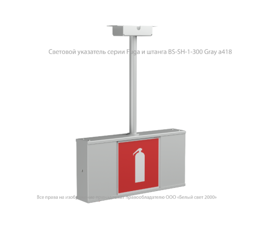 Световой указатель аварийного освещения BS-FUGA-10-S1-ELON  a22292  Белый свет