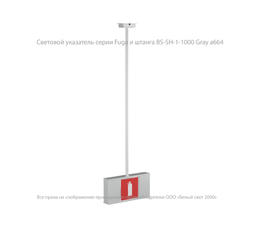 Световой указатель аварийного освещения BS-FUGA-10-S1-ELON  a22292  Белый свет
