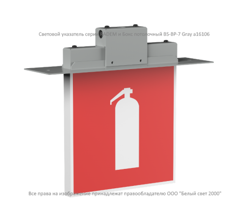 Указатель аварийный светодиодный RADEM BS-73-S1-INEXI2 Серый 4,6Вт 3ч постоянный накладной IP40  a15533  Белый свет