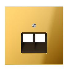 Крышка для сдвоенной телефонной и компютерной розетки  UAE; металл цвета золота  GO2969-2UA  Jung