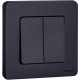 Inspiria Антрацит Выключатель 2-клавишный С/У без рамки  673623  Legrand