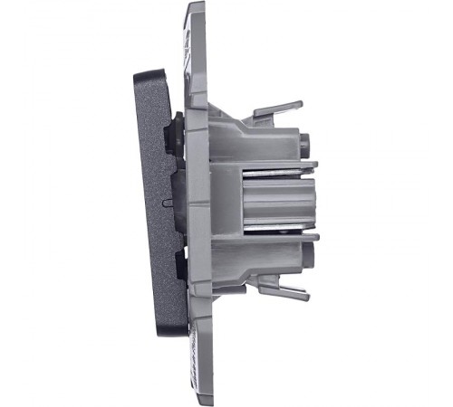 Inspiria Антрацит Выключатель 2-клавишный С/У без рамки  673623  Legrand