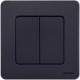 Inspiria Антрацит Выключатель 2-клавишный С/У без рамки  673623  Legrand