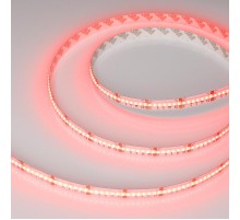 Светодиодная лента CSP-X840-12mm 24V RGBW-Day (17.2 W/m, IP20, 5m) (Arlight, 5 лет)  046936  Arlight