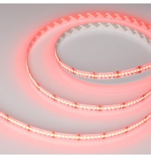 Светодиодная лента CSP-X840-12mm 24V RGBW-Day (17.2 W/m, IP20, 5m) (Arlight, 5 лет)  046936  Arlight