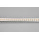 Лента светодиодная MICROLED-5000 24V White6000 10mm (2110, 700 LED/m, LUX)  027024  Arlight