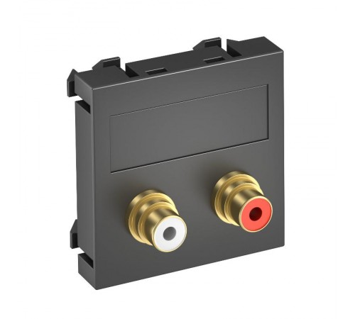 Мультимедийная рамка Audio-Cinch Modul45 (черный) (MTG-2R L SWGR1)  6105045  OBO Bettermann