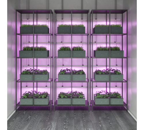 Светильник светодиодный для растений 8W 220lm 175-265V IP20 561*25*37мм, фиолет спектр LED  130411908  Gauss