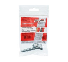 Болт DIN 571 сантехнический оцинк 10х60 (2 шт) - пакет ( 0,065 кг)  103881  Tech-KREP