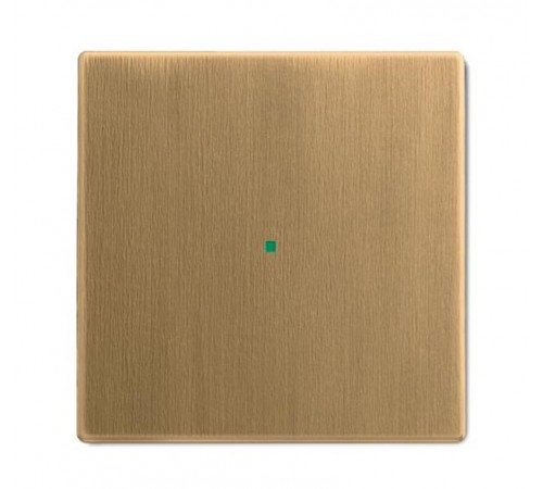 SR-1-840 Клавиша одинарная free@home, Династия, латунь античная  6220-0-0371   2CKA006220A0371  ABB