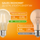 Лампа светодиодная   Filament Elementary А60 11W 910lm 2700К Е27 LED 1/10/50  22211  Gauss