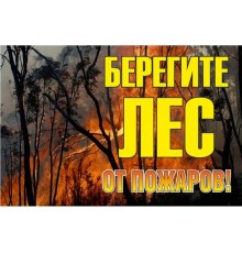 Знак "Берегите лес от огня" 1200х800 мм  zn-1-02  EKF