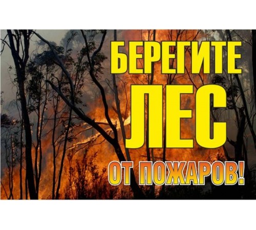 Знак "Берегите лес от огня" 1200х800 мм  zn-1-02  EKF