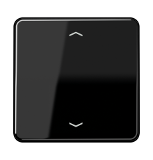 Клавиша для одинарной кнопки BCU; черная CD590PSW Jung