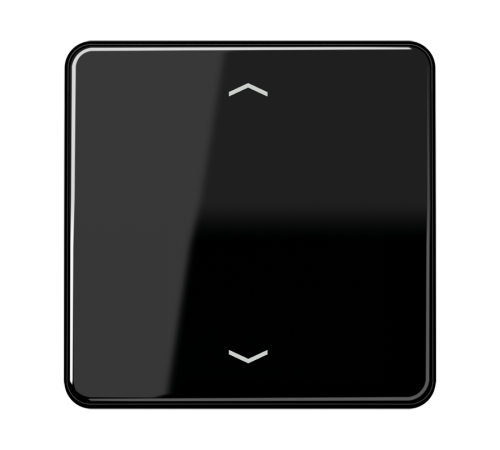 Клавиша для одинарной кнопки BCU; черная CD590PSW Jung