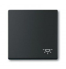 Клавиша для механизма 1-клавишного выключателя, c символом ""СВЕТ"" Future/Axcent/Carat/Династия, черный бархат  2CKA001751A3193  ABB