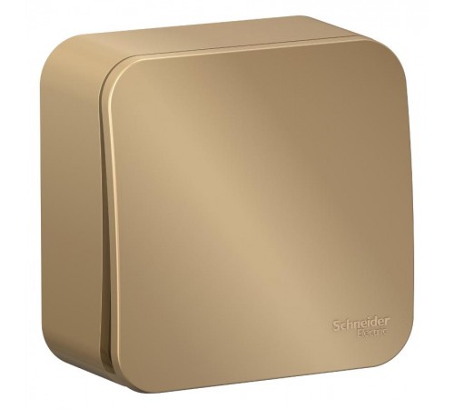 Blanca Титан О/У с изолирующей пластиной Титан Выключатель 1-клавишный с самовозвратом, 10А, 250В  BLNCA101014  SE