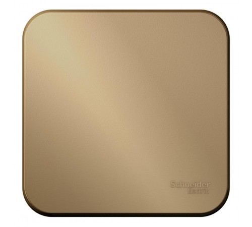 Blanca Титан О/У с изолирующей пластиной Титан Выключатель 1-клавишный с самовозвратом, 10А, 250В  BLNCA101014  SE