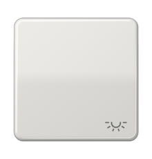 Клавиша с символом "освещение"; светло-серая  CD590LLG  Jung