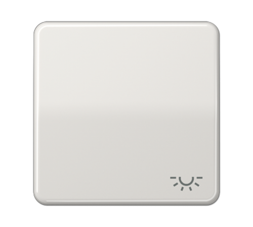 Клавиша с символом "освещение"; светло-серая  CD590LLG  Jung