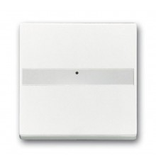 Клав. с полем для надписи, со световодом, для выкл./перекл./кнопок, серия solo/future, цвет davos/альп. белый  1731-0-1877   2CKA001731A1877  ABB