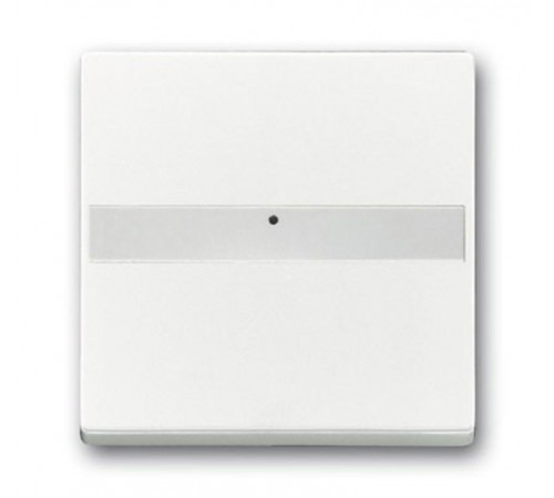 Клав. с полем для надписи, со световодом, для выкл./перекл./кнопок, серия solo/future, цвет davos/альп. белый  1731-0-1877   2CKA001731A1877  ABB