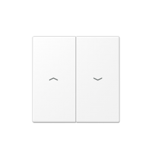 Клавиша для двухклавишных балансирных выключателей с символами "стрелки"; дюропласт; белый матовый  LS995PWWM  Jung