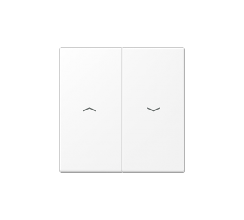 Клавиша для двухклавишных балансирных выключателей с символами "стрелки"; дюропласт; белый матовый  LS995PWWM  Jung