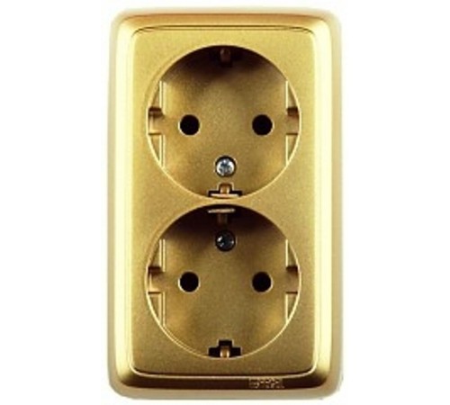 Розетка открытой установки, двухместная, с заземляющим контактом, с изолирующей пластиной, цвет золото  РА16-153-07  HEGEL
