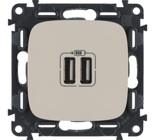 Valena ALLURE Сл.кость Розетка 2-ая USB 240В/5В 1500мА (с лицевой панелью)  754996  Legrand