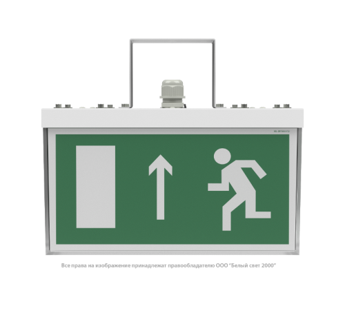 Световой указатель аварийного освещения BS-ADAMAT-53-S1-STABILAR2  a15399  Белый свет