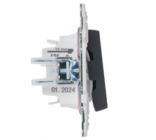 SKANDY Выключатель 2-клавишный с индикацией 10А SK-V09G графит  SK-V20-1-10-K53  IEK