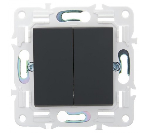 SKANDY Выключатель 2-клавишный с индикацией 10А SK-V09G графит  SK-V20-1-10-K53  IEK