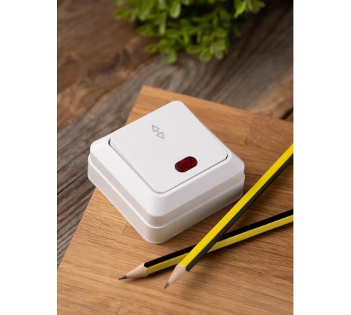 Рим Выключатель проходной 1-клавишный с индикатором 10А белый EKF  ENV10-125-10  EKF