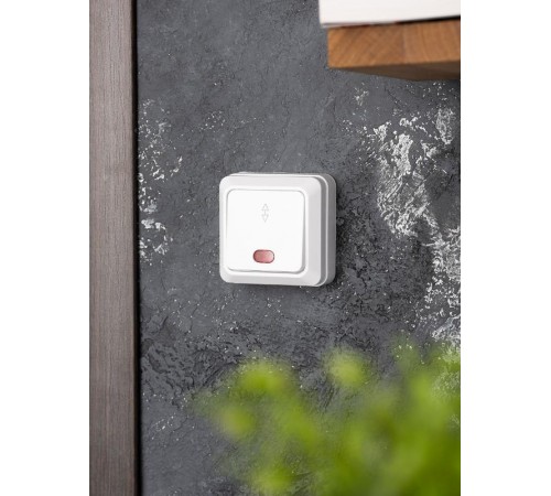 Рим Выключатель проходной 1-клавишный с индикатором 10А белый EKF  ENV10-125-10  EKF