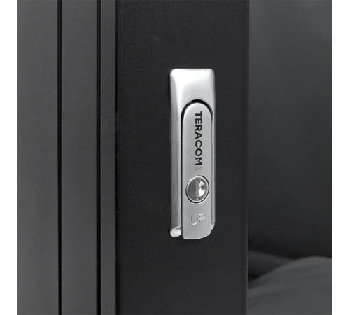 Шкаф настенный 19" TERACOM PRO 12U 600х450 мм дверь стеклянная с замком-ручкой чёрный  TRP-WLL-1264-40B  EKF